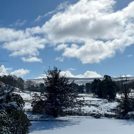 Hotel Lovelady Shield
