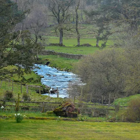 Hotel Lovelady Shield 3*