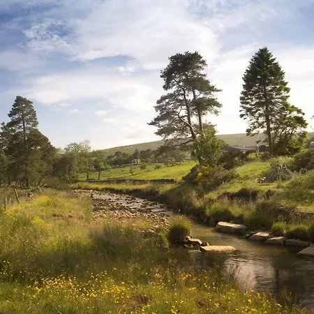 Lovelady Shield Hotell 3*