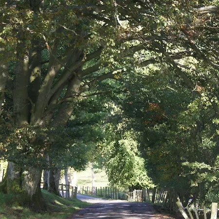 Lovelady Shield 3* Alston